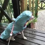 カッパを着たぞー