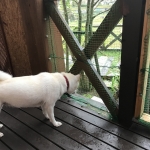 雨はいつやむの～