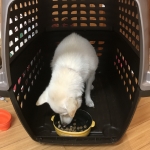 のんきに朝ごはん