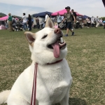 舌が出てますよ〜