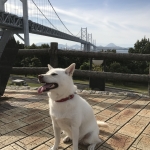 与島でパシャリ