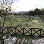 ゆいまーるのドッグラン