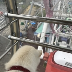 慣れたら平気だぞ～