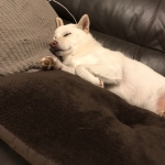 なんちゅう寝方（笑）