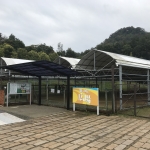 グランドッグランド