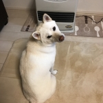 ヒーターの門番