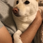 どこ見てんの？